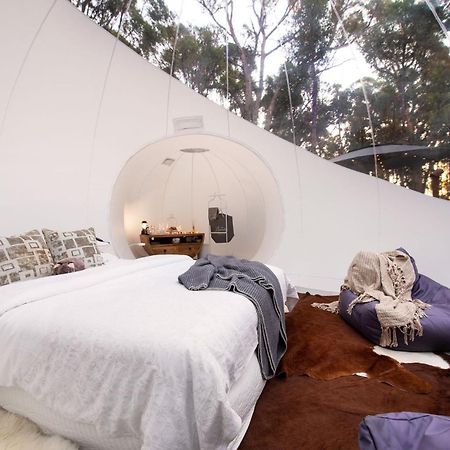 Skyview Bubbletent Eganstown Екстериор снимка