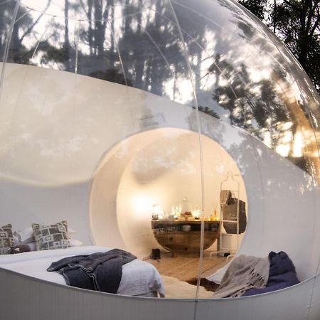 Skyview Bubbletent Eganstown Екстериор снимка