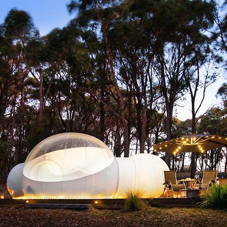 Skyview Bubbletent Eganstown Екстериор снимка